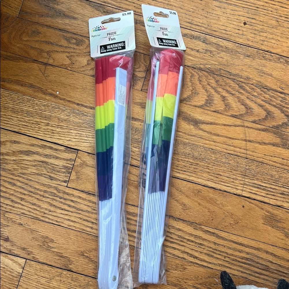 Amscan Rainbow Pride Hand Fan Set